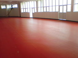 石家莊、唐山、秦皇島、邯鄲、邢臺PVC塑膠地板供應(yīng) 專業(yè)運(yùn)動場地解決方案